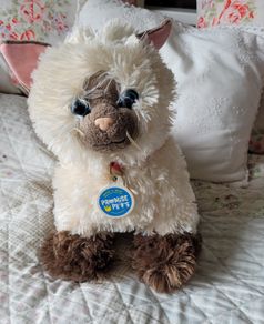 Build a bear cat
