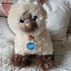Build a bear cat