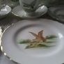 Tuscan 18 pieces Wild Fowl China Tea Wares Image 3