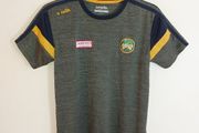 offaly gaa jersey
