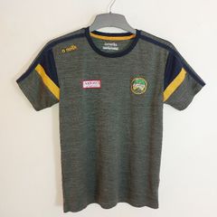 offaly gaa jersey