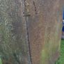 Vintage industrial Metal Cabinet ,Safe Image 3