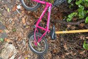 bike girls
