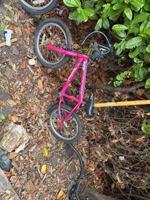 bike girls