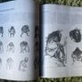 Mythical Beasts: An Artist's Field Guide to Designing Fantasy Creatures Image 3