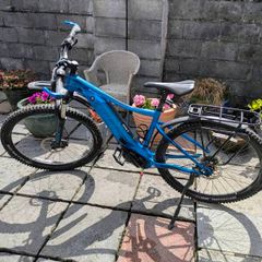 Giant Fathom E-Bike