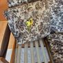 two seat love seat sofa, floral pattern - one cushion damaged Image 2