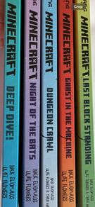 Minecraft Books
