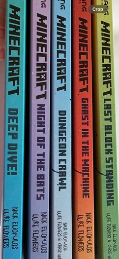 Minecraft Books