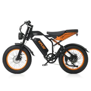 VIPCOO VM6 Electric Bike