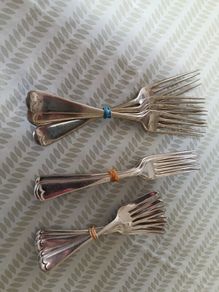 Selection of Forks EPNS