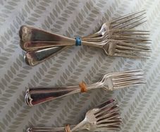 Selection of Forks EPNS