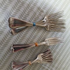 Selection of Forks EPNS