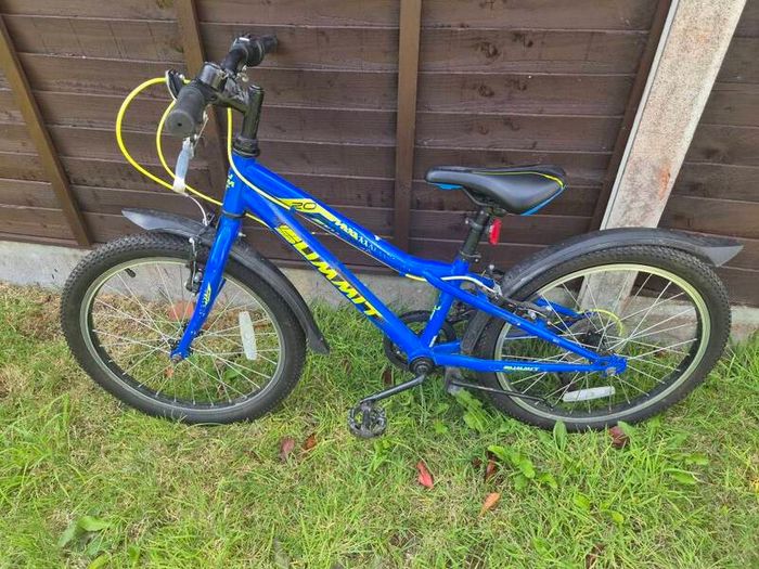 Child 20 Inch Bike