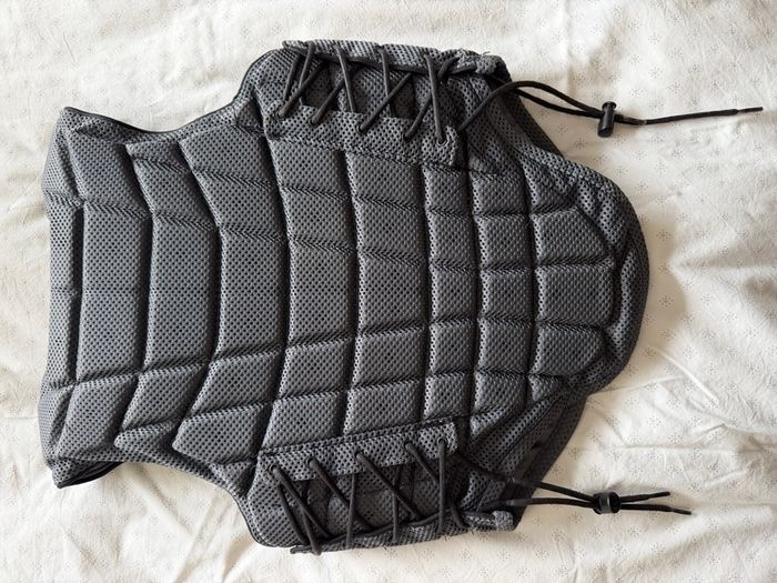 Champion back protector