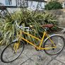 Tokyo Bike Image 2