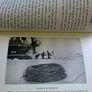 The Karluk's last voyage An epic of death and survival in the Arctic Image 5