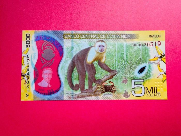 Costa Rica  5000 Colones  2018  Pick 282a  Polymer  / Plastic  ( Uncirculated )
