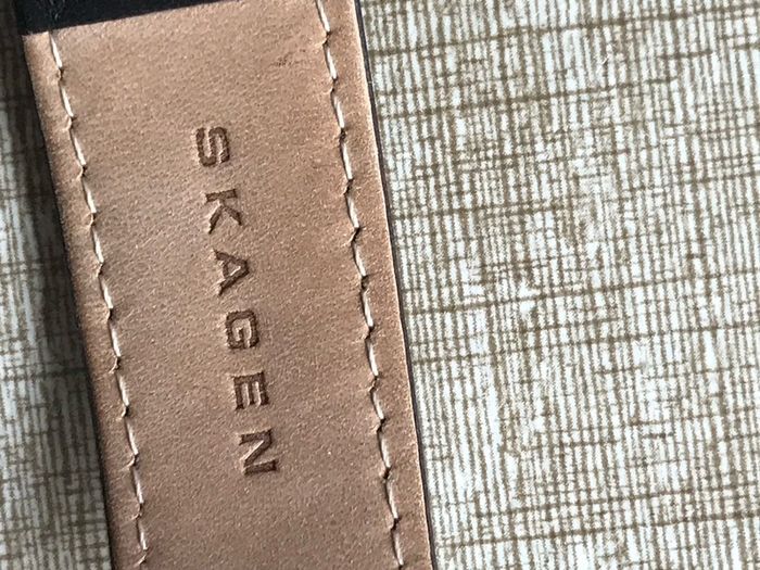 skagen watch