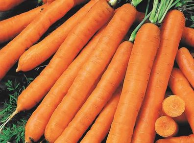 (C) Carrot Cidera seeds 3g (124169)