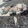 1.6 Hdi Injectors Image 4