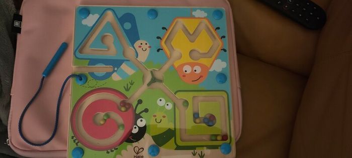 Best Bugs Magnetic Maze
