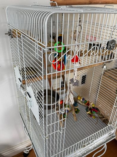 Large Bird Cage