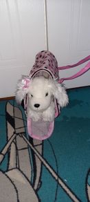 Toy dog  in a bag