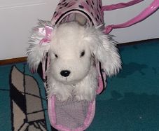 Toy dog  in a bag