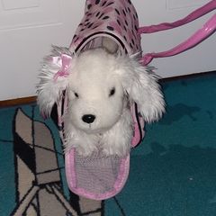 Toy dog  in a bag
