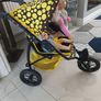 dolls and  buggy Image 5