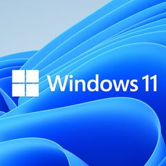 Windows installation service 11