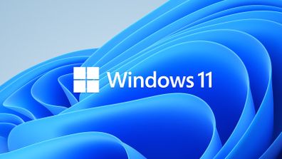 Windows installation service 11