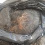 Job lot of vintage horsehair and natural upholstery stuffing weighing approximately 35KG Image 6