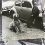 Chelsea Light Moving - Chelsea Light Moving (Sonic Youth / Thurston Moore) Image 9