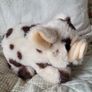 Little piglet teddy - walks and squeeks Image 2