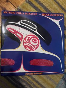 Bruce Cockburn vinyl lp