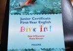 Dive In junior cert