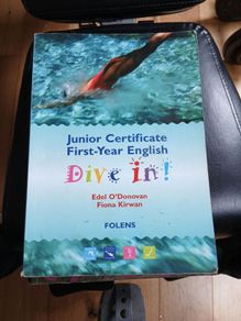 Dive In junior cert