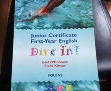 Dive In junior cert
