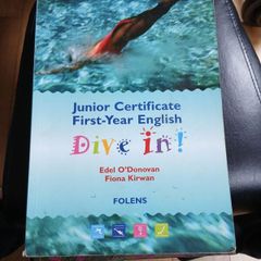 Dive In junior cert