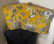 2 Velvet Cushions From M&S