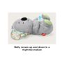 Fisher-Price Soothe 'n Snuggle Koala plush sound machine Image 4