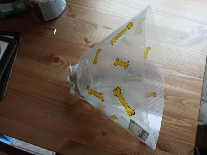 Dog cone - 20cm - free