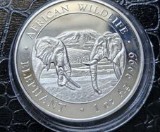 100 Shillings 1oz Silver 2020 Somali African Wildlife Elephant coin