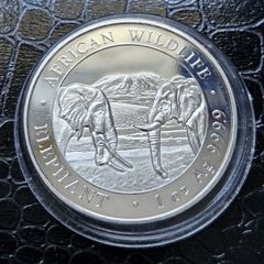100 Shillings 1oz Silver 2020 Somali African Wildlife Elephant coin