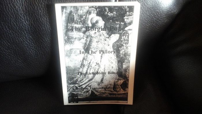 In The Pillory The Borgia Pope (out of print book)