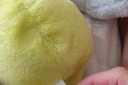 Soft toys