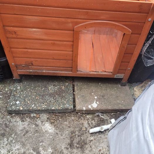 dog kennel