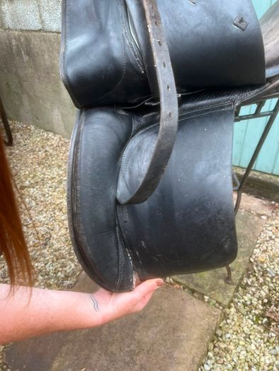 saddle